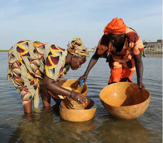 Senegal tra storia natura ed etnie