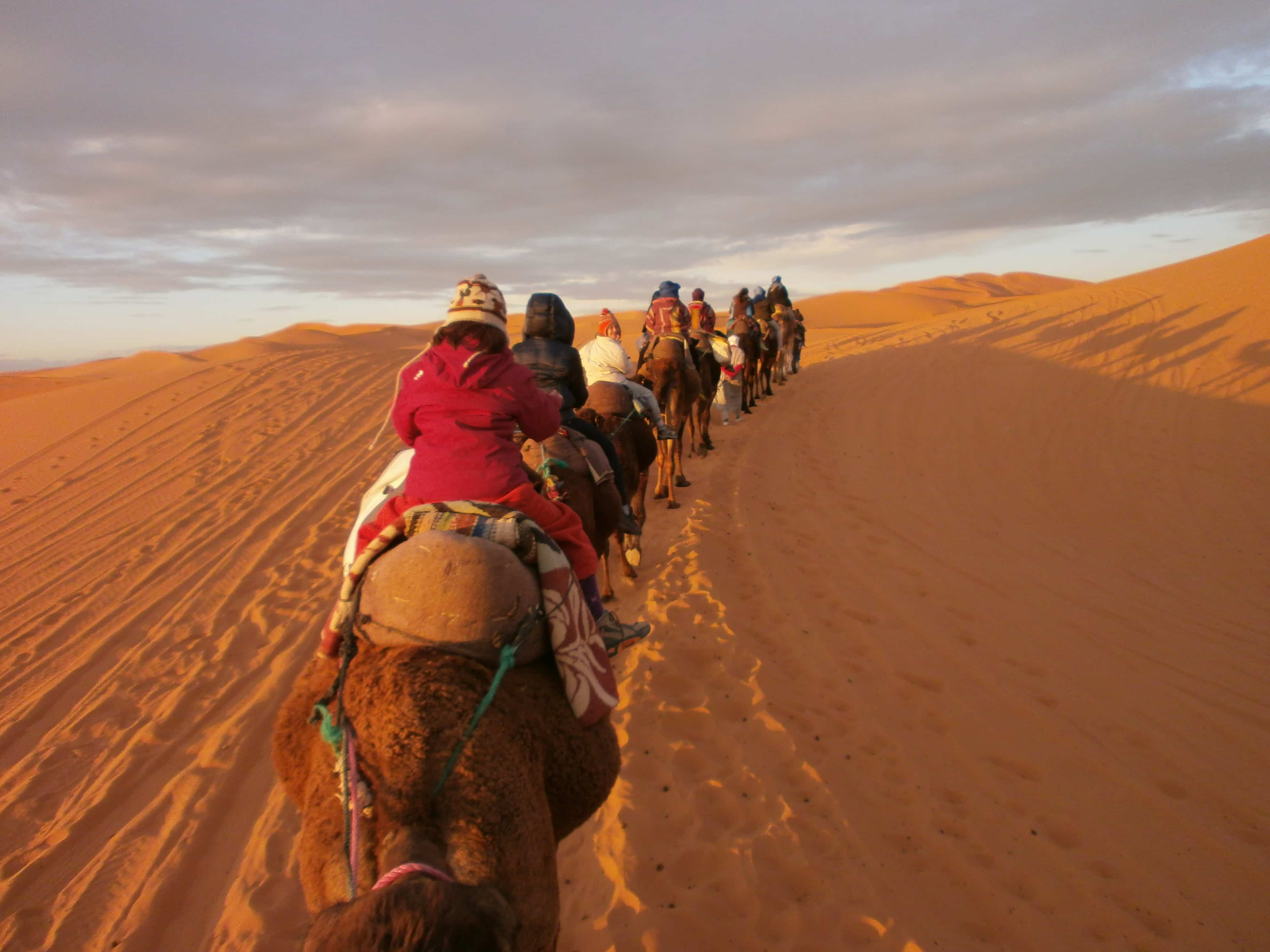 Mehari viaggio  Attraversando il deserto del Sahara